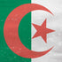Algeria Flag Distressed PS4 Console Skin